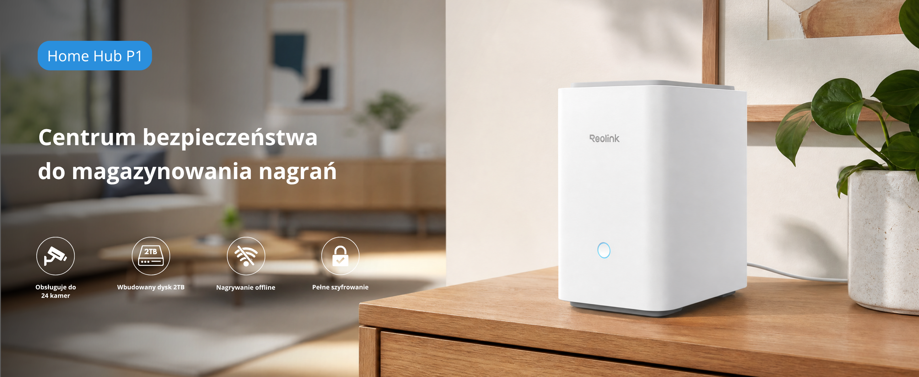 Home Hub P1